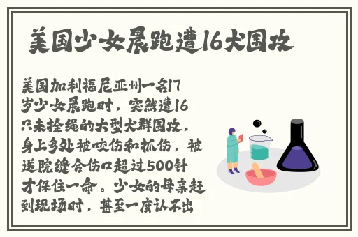 仙踪林娇小4一6XXXⅩ